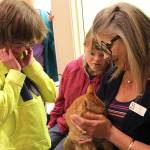 Students bake, stitch donations to WAIF animals