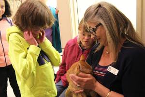 Students bake, stitch donations to WAIF animals