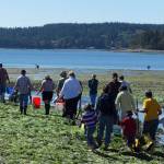 Photos provided.                                Sound Water Stewards clamming classes take place at Double Bluff beach and are popular with people of all ages.                                Sound Water clamming classes take place at Double Bluff beach and are popular with people of all ages. Photo provided
