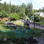 Mary and Fred Benninghoff in front of their 100-year-old home that served as an executive officers house and was moved from the Navy base in 1970. They created fences from old metal bed frames.Photo by Patricia Guthrie/Whidbey News Group