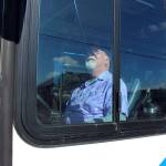Island Transit bus driver Dana OBlenes gets ready to pull away from a stop. Photo by Patricia Guthrie/Whidbey News Group