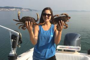 ‘Lost’ pots can deplete crab numbers