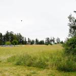 A new draft facilities master plan includes new department buildings on land recently purchased by the Island County. The plan is still in its early stages and designs for the new buildings likely wont be made until next year. Photo by Laura Guido/Whidbey News-Times