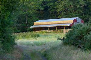 Photo by Robert Pennington/Rhizome Design.                                An old barn at the Donald Borgman Nature Preserve on North Whidbey is lit up at sunrise. The farm property has been in Donald Borgmans family since the late 1800s.