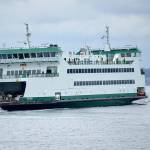Crab pots tangle with ferries