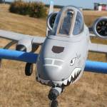 Photo by Abigail Gilbert                                There are lot of details on the model airplanes.