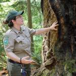 Jackie French, interpretative specialist at Central Whidbey State Parks, points out burn marks on a Douglas fir and explains how its thick bark is fire resistant. French has a passion for outdoor education and leads junior ranger programs and guided hikes at state parks on the island. Photo by Laura Guido/Whidbey News-Times