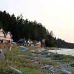 Houses sit close to the shoreline near Long Point in Coupeville. A new report was recently released with updated sea level rise projections meant to aid in coastal planning. Photo by Laura Guido/Whidbey News Group