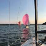 Lucky Jim chases Yeah Dogg.(Photo by Shannon Buys)