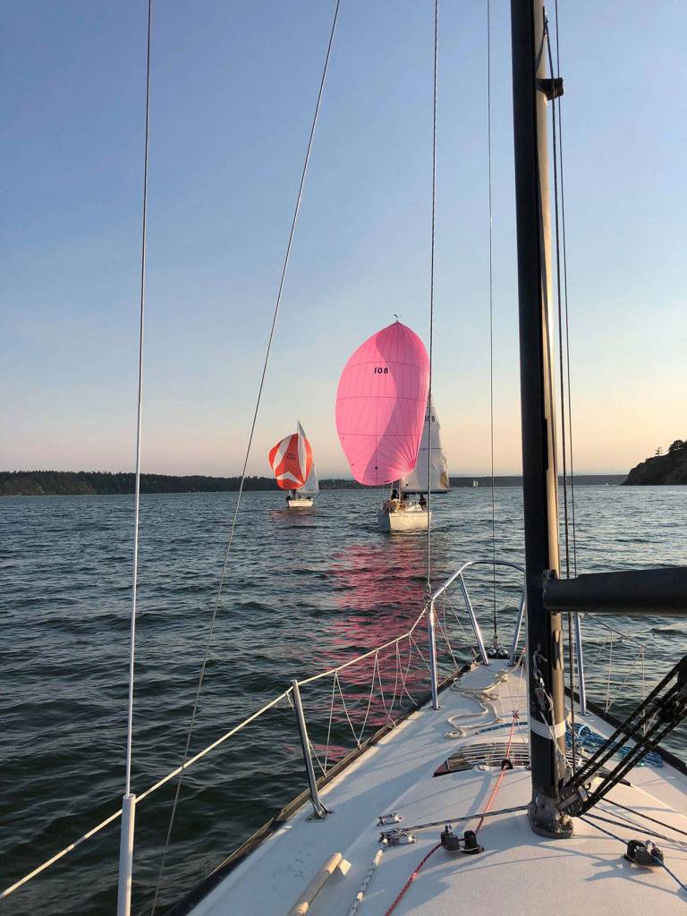 Lucky Jim chases Yeah Dogg.(Photo by Shannon Buys)