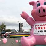 Pink was the color of the day of Oak Harbors 11th annual Pig Fest on Sunday, Aug. 12. Photo by Emily Gilbert/Whidbey News-Times