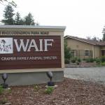 Photo by Emily Gilbert/Whidbey News-Times                                The City of Oak Harbor may send all dogs collected during Animal Control operations to WAIFs Coupeville facility after the lease on its current sheltering facility ends next year.