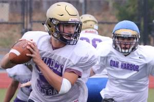 Photos: Wolves, Wildcats getting ready for regular season / Football