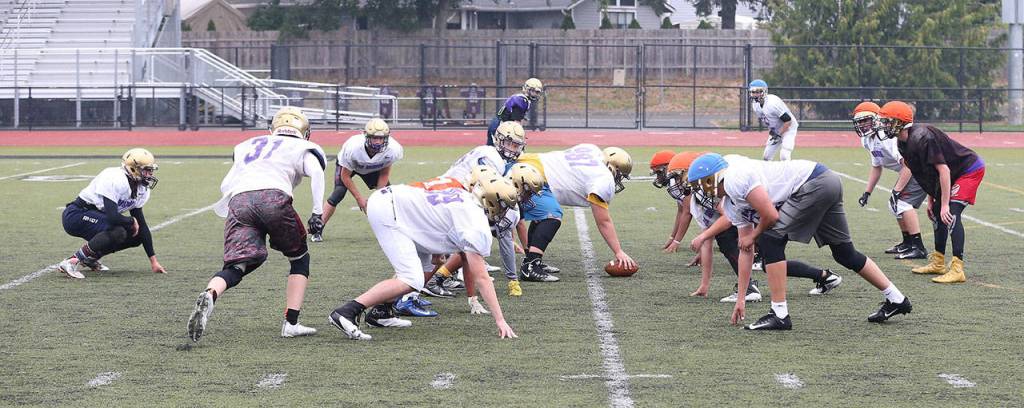 Photos: Wolves, Wildcats getting ready for regular season / Football