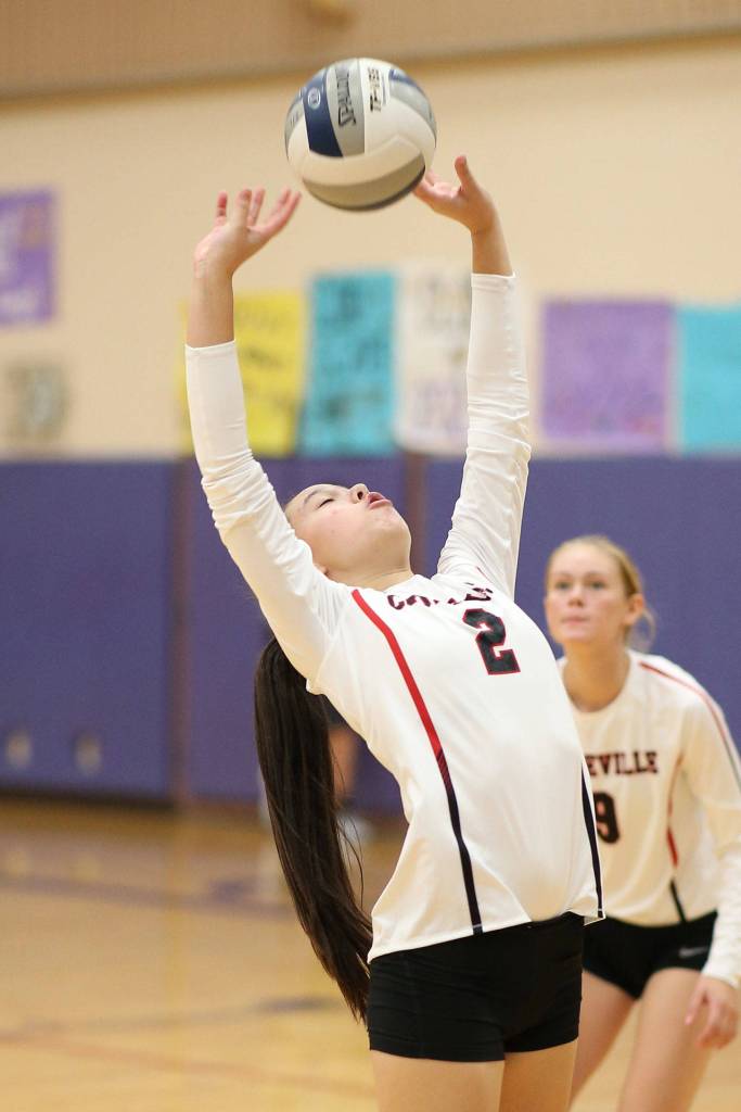 Coupevilles Scout Smith sets during Saturdays jamboree.(Photo by John Fisken)