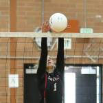 Wolves whip Friday Harbor / Volleyball