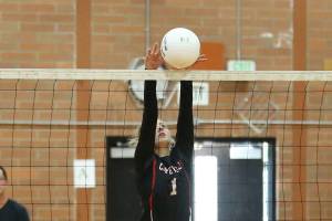 Wolves whip Friday Harbor / Volleyball