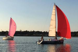 3 claim wins in 1st fall race / Sailing