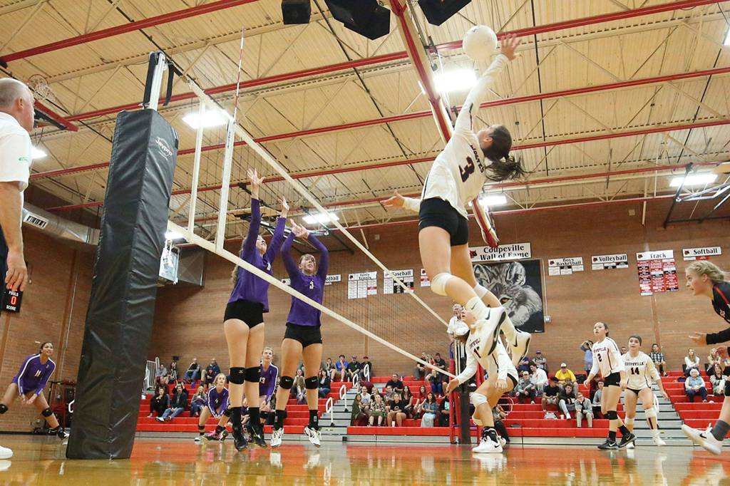 Maya Toomey-Stout attacks the Anacortes defense.(Photo by John Fisken)