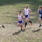 Wildcats, Wolves among teams at Westling Invitational / Cross country