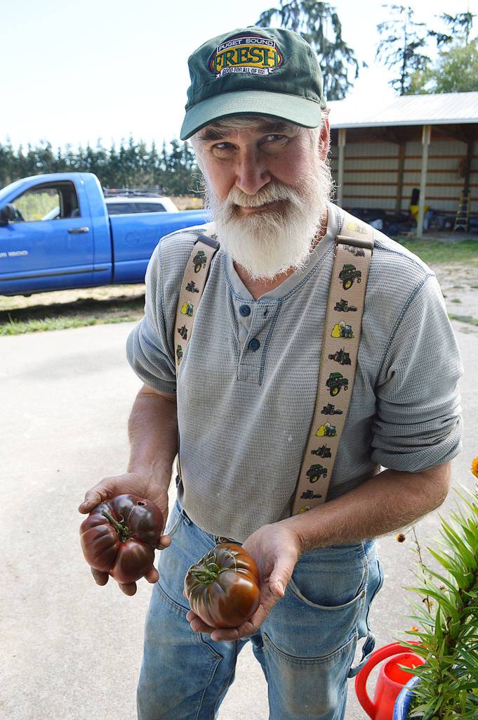 John Burks, owner of Kettles Edge Farm, holds a couple heirloom tomatoes that will be featured in cooking demonstrations by a local food blogger during the Ebeys Farm Tour from 10 a.m. to 2 p.m., Sept. 29. Photo by Laura Guido/Whidbey News Group