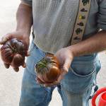 Whidbey Grown Week showcase for island’s offerings, local farms