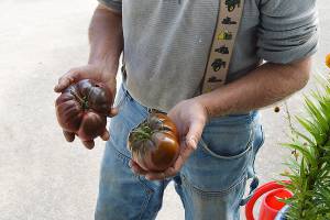 Whidbey Grown Week showcase for island’s offerings, local farms