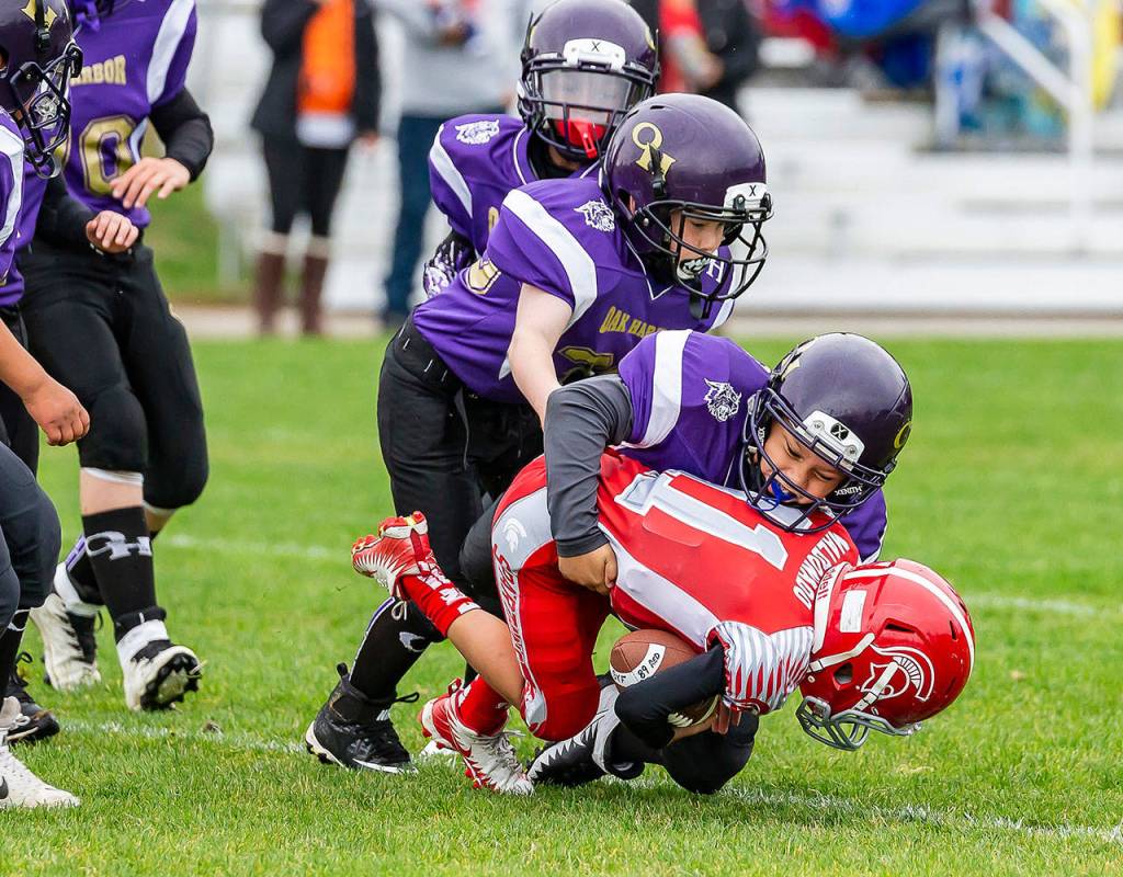 Photos: Young Wildcats compete on the gridiron / Youth football
