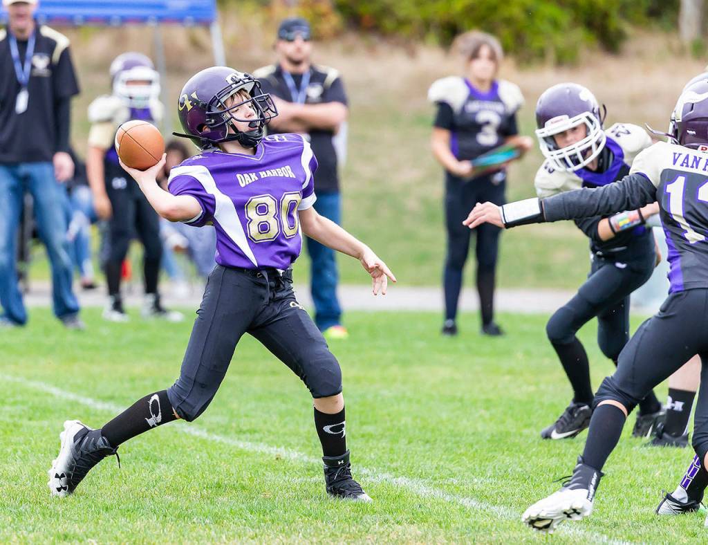Photos: Young Wildcats compete on the gridiron / Youth football