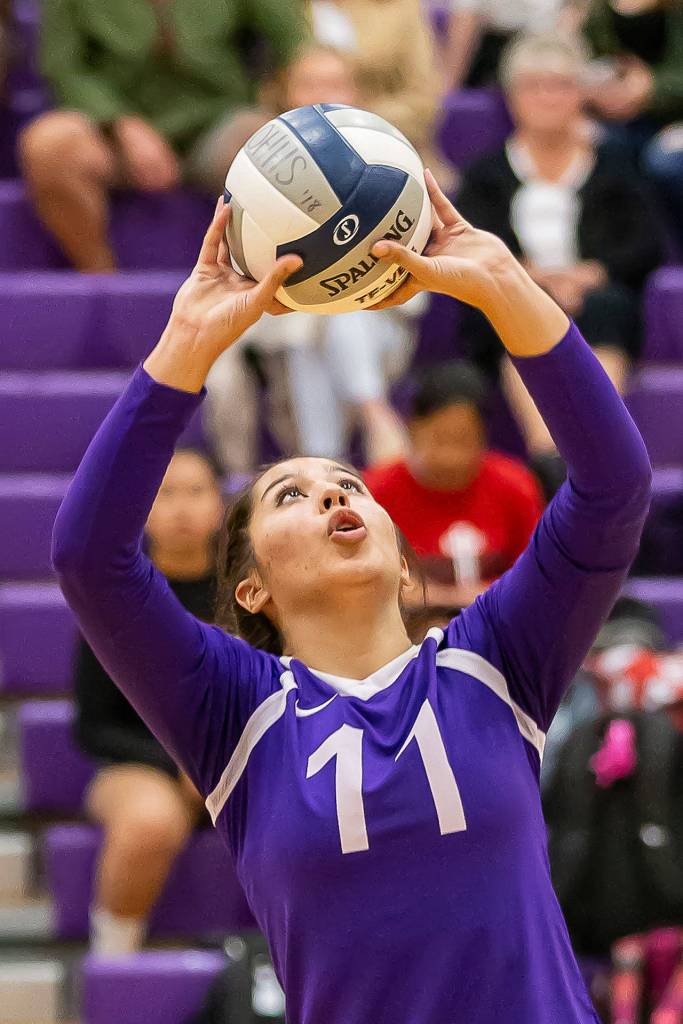 Leah Quidachay sets for the Wildcats.(Photo by John Fisken)