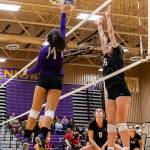 Leah Quidachay tips by the block of a Murphy defender.(Photo by John Fisken)