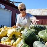 Liz Sherman points out the different varieties of squash available at Shermans Pioneer Farms. Photo by Laura Guido/Whidbey News Group
