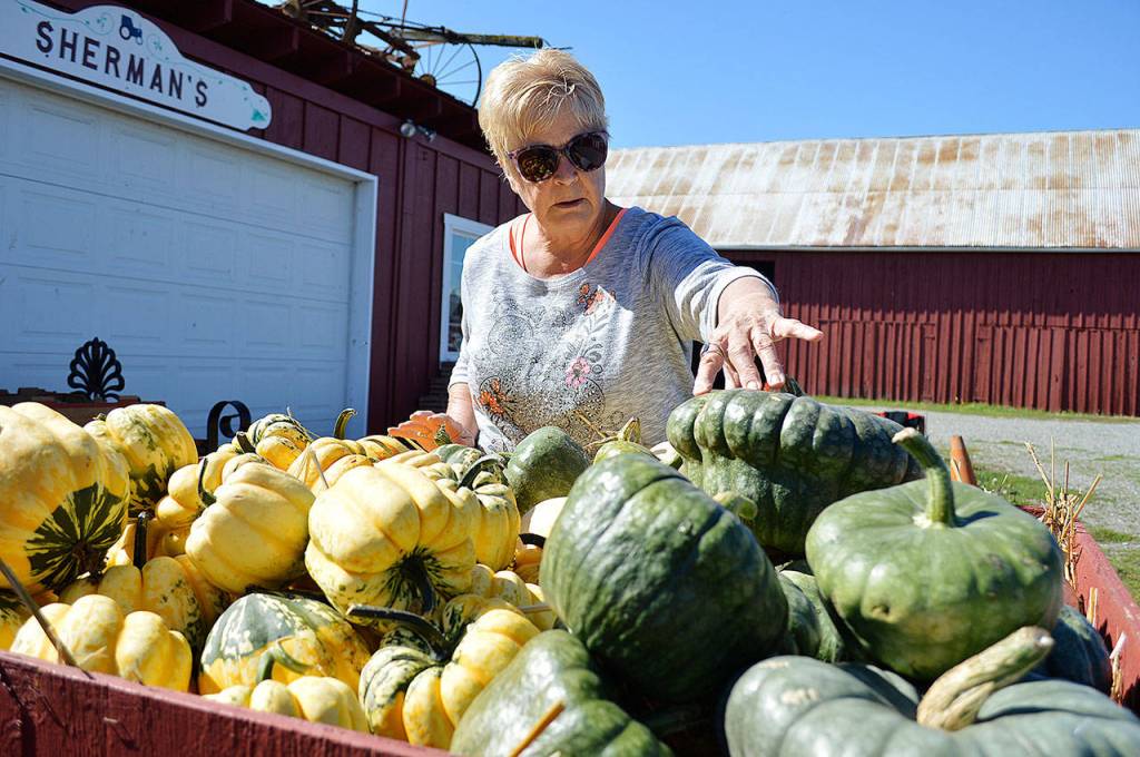 Liz Sherman points out the different varieties of squash available at Shermans Pioneer Farms. Photo by Laura Guido/Whidbey News Group