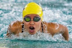 Wildcats hold lone home meet today / Swim and dive