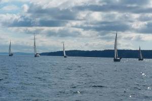 Jim dandies: McAlpine wins Cline Regatta / Sailing