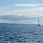 The other boats trail Lucky Jim in the Scott Cline Regatta over the weekend. (Photo by James McAlpine)