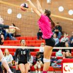Emma Smith stuffs a South Whidbey shot. (Photo by John Fisken)