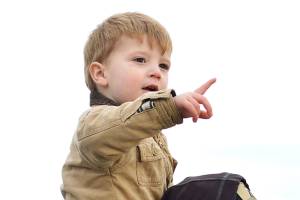 Veterans Day Parade will march downtown