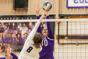 Wildcats win wild one with Eagles / Volleyball
