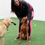 Photos by Laura Guido/Whidbey News-Times