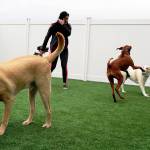 Photos by Laura Guido/Whidbey News-Times