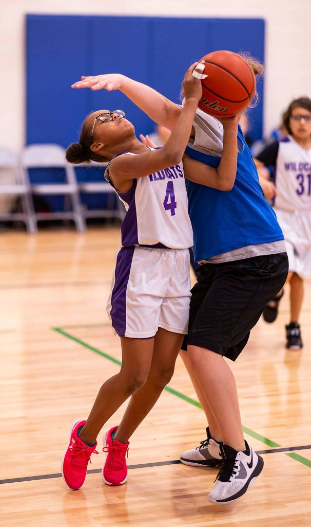 Photos: ‘Little’ Wolves, Wildcats begin seasons / Basketball