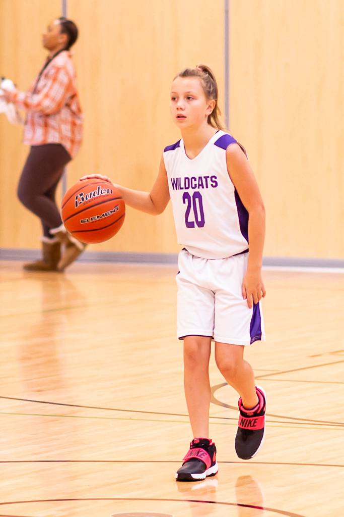Photos: ‘Little’ Wolves, Wildcats begin seasons / Basketball