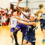 Photos: ‘Little’ Wolves, Wildcats begin seasons / Basketball