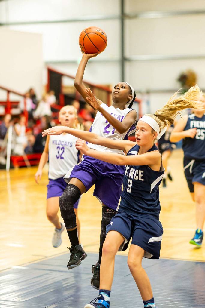 Photos: ‘Little’ Wolves, Wildcats begin seasons / Basketball