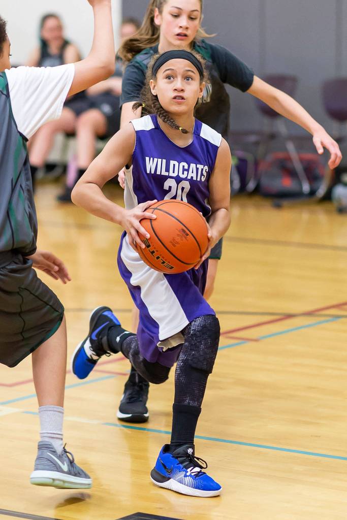 Photos: ‘Little’ Wolves, Wildcats begin seasons / Basketball