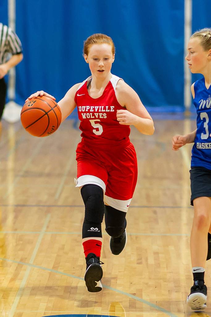 Photos: ‘Little’ Wolves, Wildcats begin seasons / Basketball