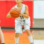 Photos: ‘Little’ Wolves, Wildcats begin seasons / Basketball