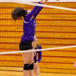 Jasmine Ford rises to block an Everett hit.(Photo by John Fisken)
