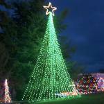 Coupeville lights up for the holidays